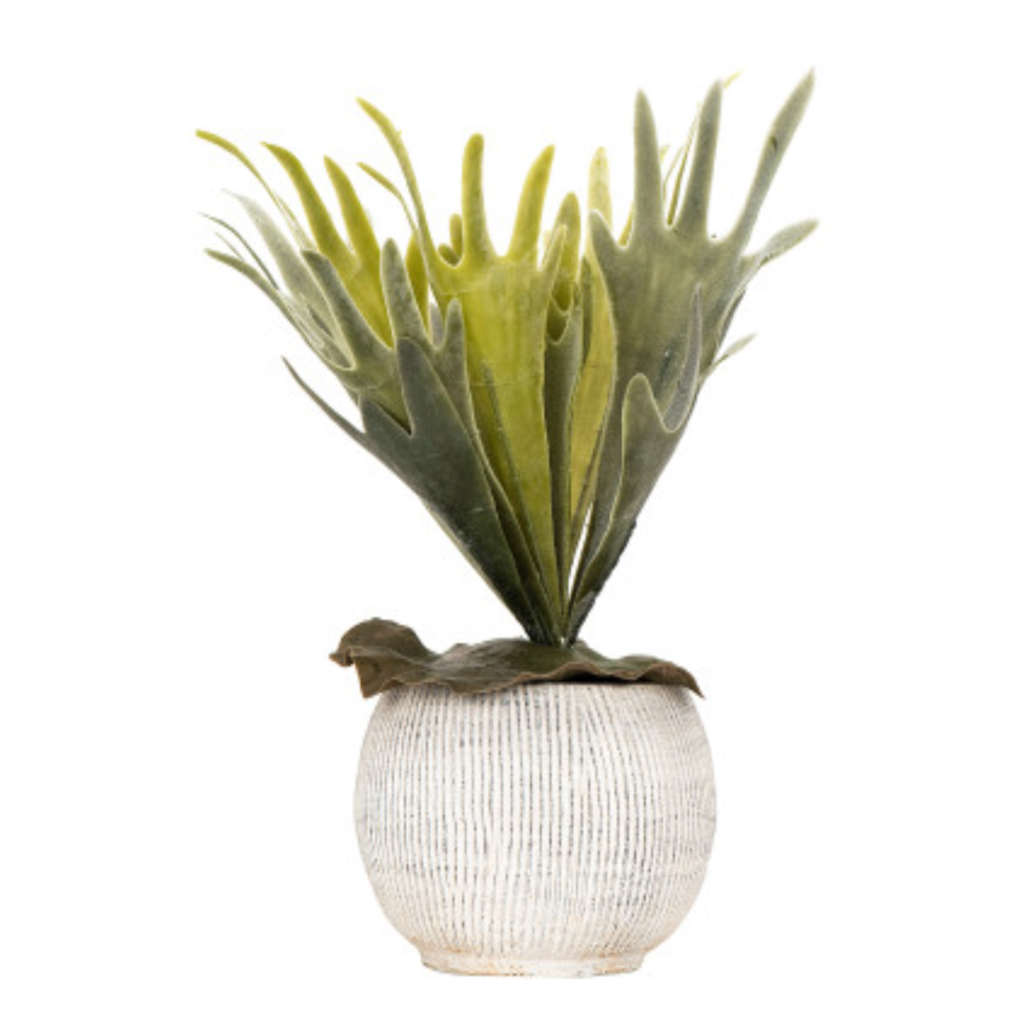 A distressed cream terracotta planter with fluted texture